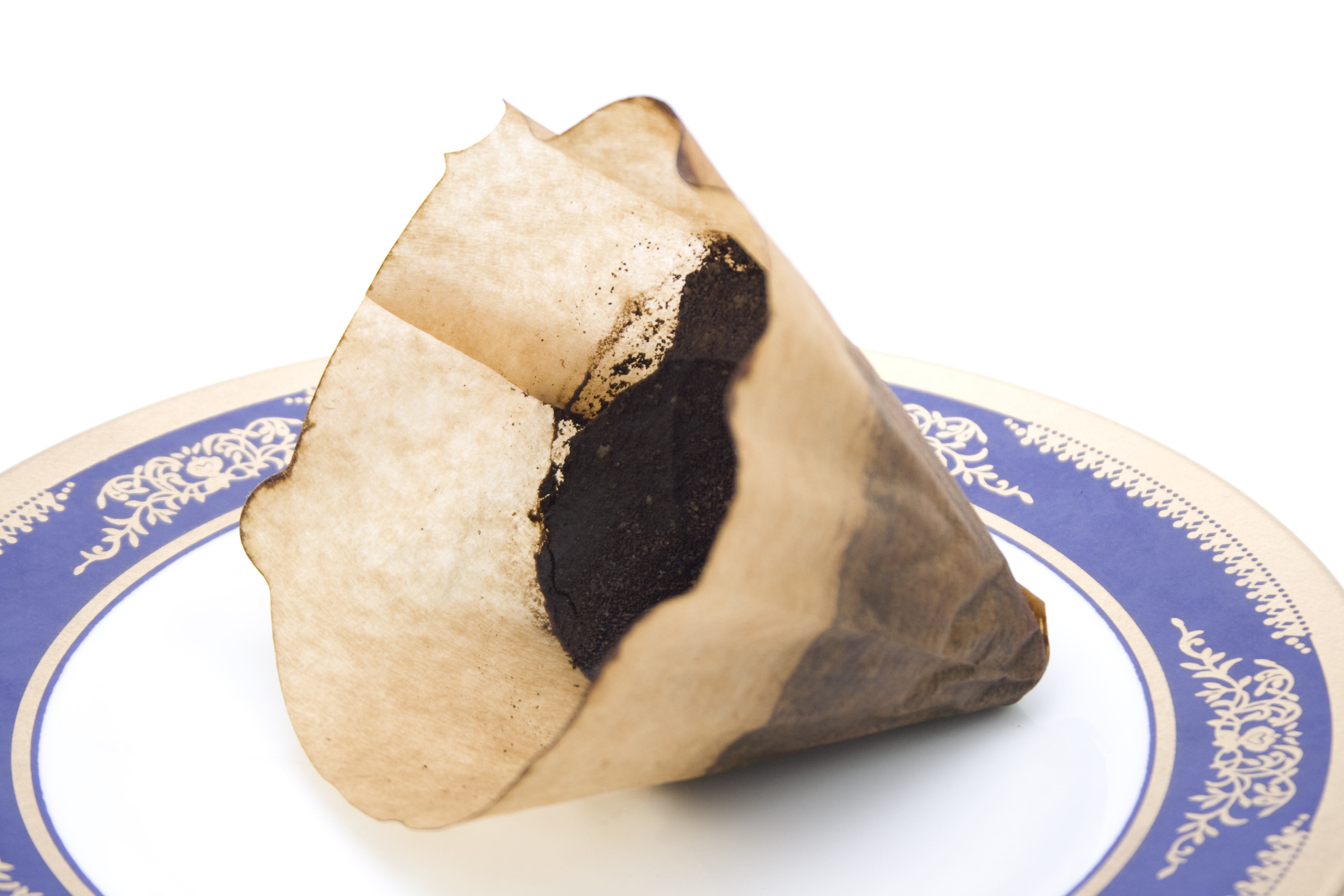 Kitchen Scraps and Coffee Grounds for Plants